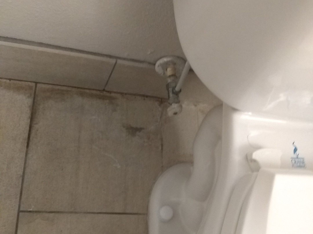 Holiday Inn Express & Suites Thomasville by IHG主图