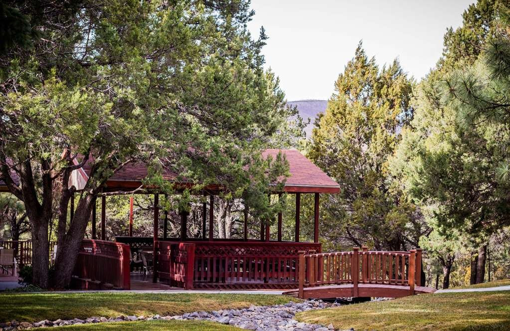 Best Western Pine Springs Inn主图