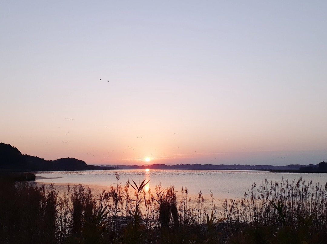 Izunuma and Uchinuma Swamp-栗原市必去景点