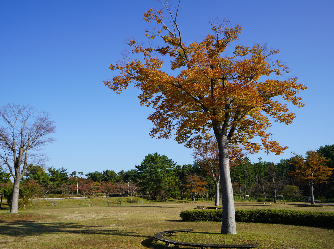 Niigata Kenritsu Shiunji Memorial Park-新发田市必去景点