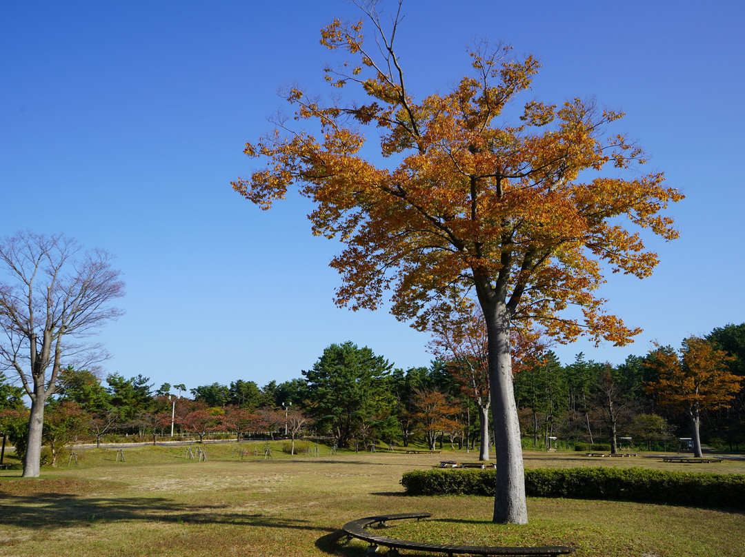 Niigata Kenritsu Shiunji Memorial Park景点图片