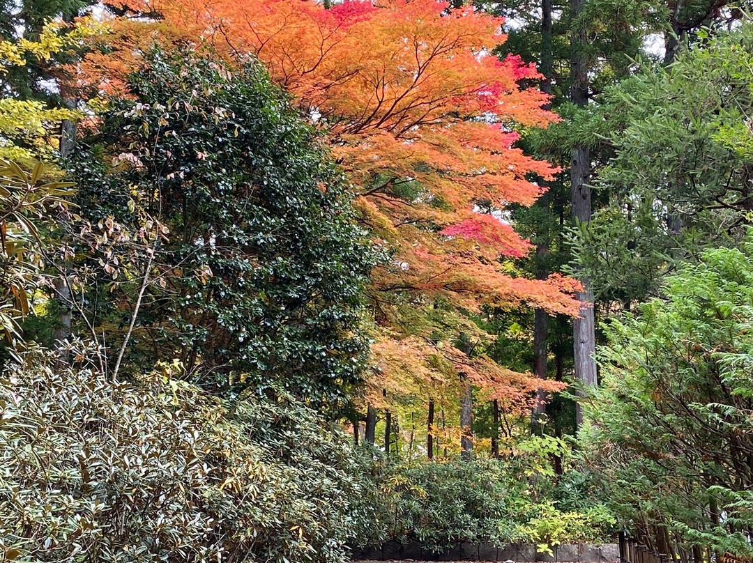 Akiu Fall-仙台市必去景点