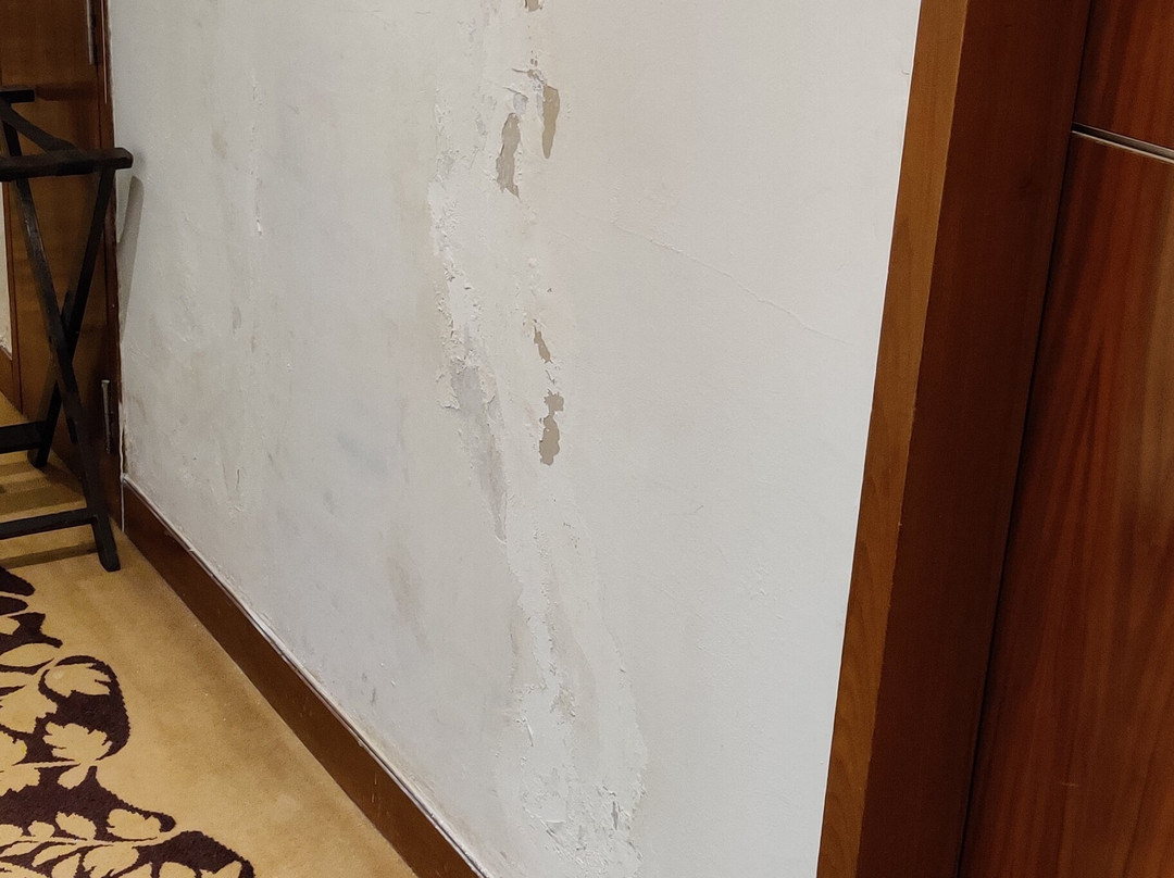 艾哈迈达巴德Hyatt酒店主图