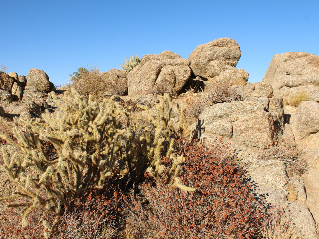 Coachella Valley Vista Point-棕榈沙漠必去景点