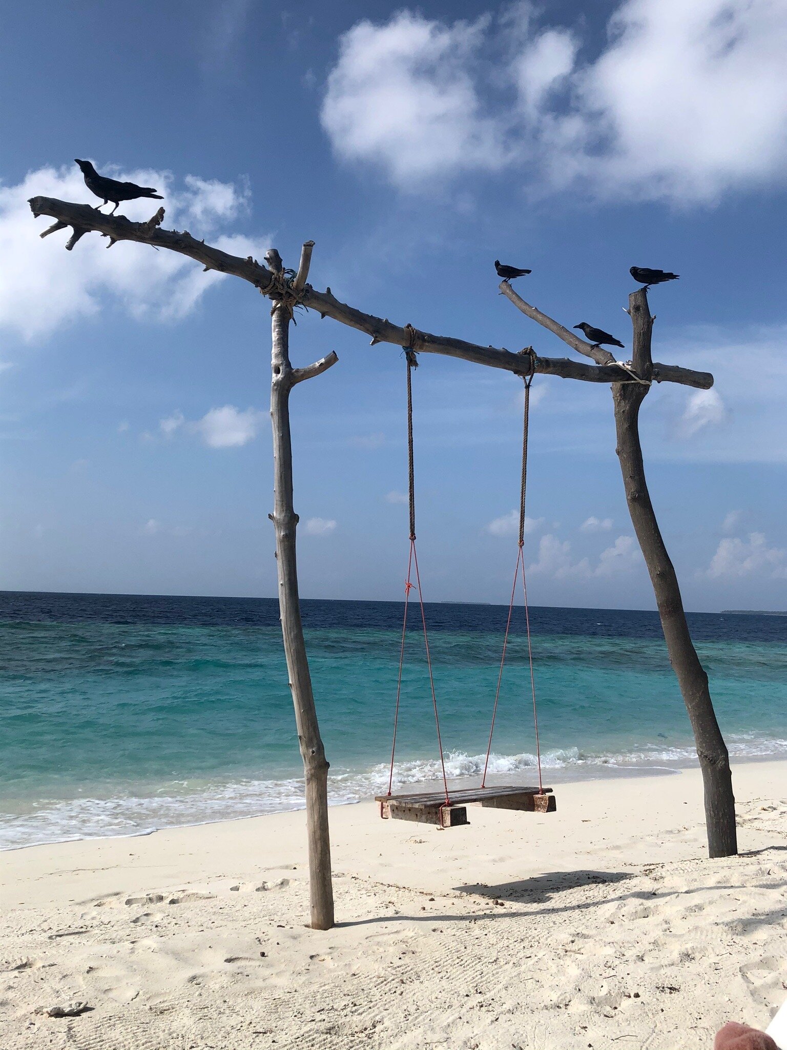Sabba Maldive-泳池