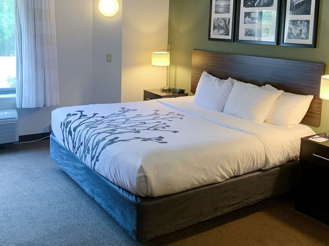 Sleep Inn & Suites Queensbury - Lake George主图