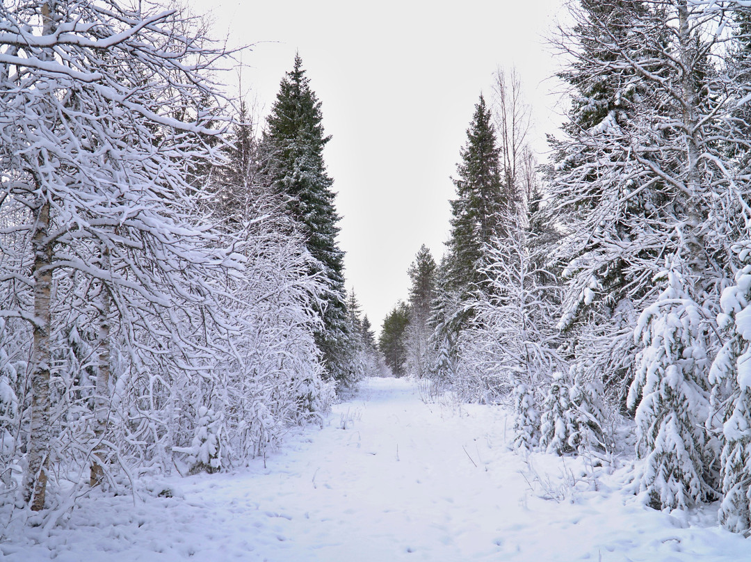 Parpalandia-罗瓦涅米必去景点