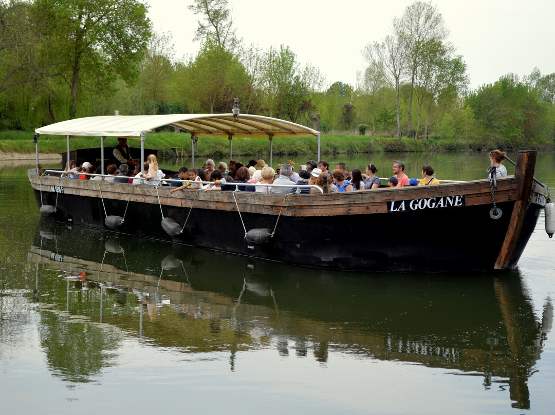 Bateau Croisière La Gogane景点图片