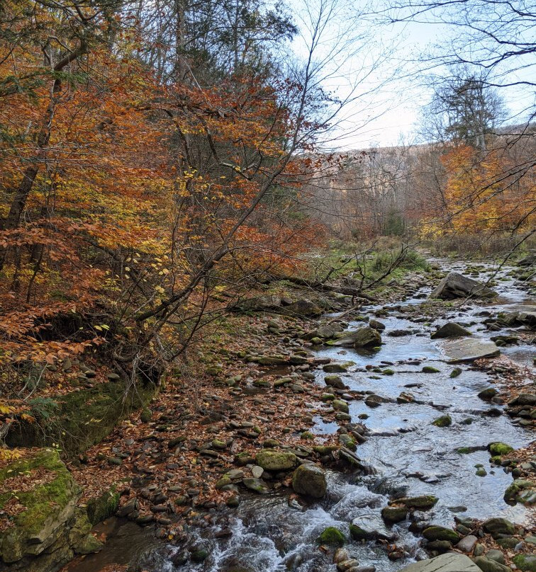 Woodland Valley State Park景点图片