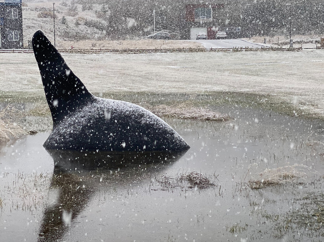 Orca Sculpture-格伦达菲厄泽必去景点
