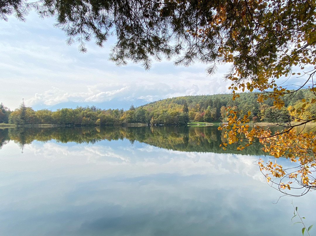 Lago Piccolo Laghi di Monticolo景点图片