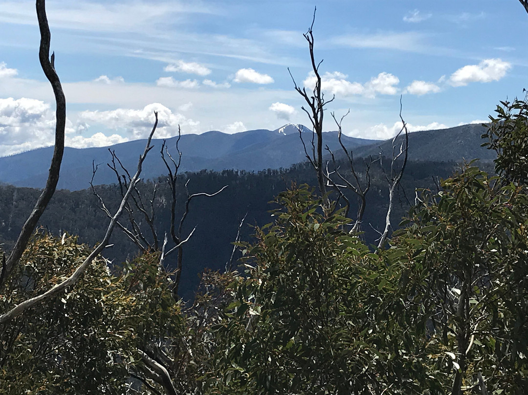 Dungey's Hollow-Hotham Heights必去景点