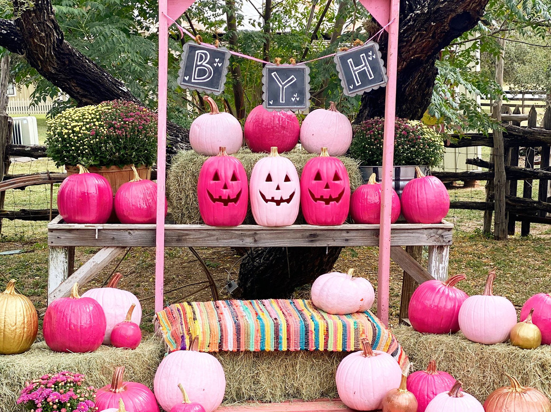 Bless your heart-圣安东尼奥市必去景点