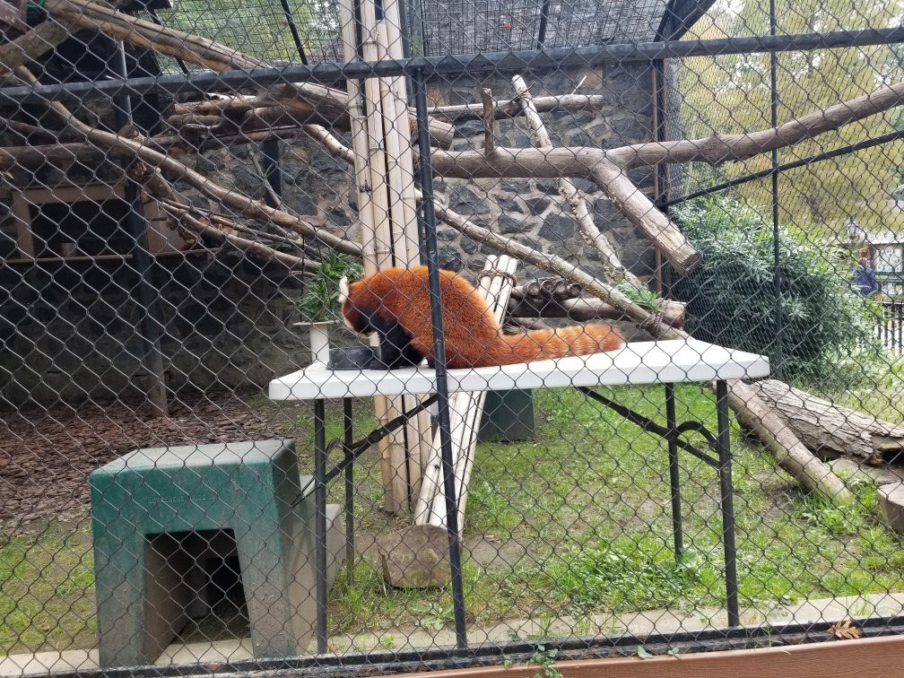 Brandywine Zoo-威尔明顿必去景点