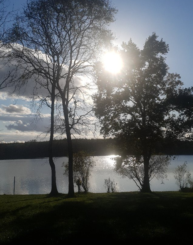 Killykeen Forest Park-County Cavan必去景点