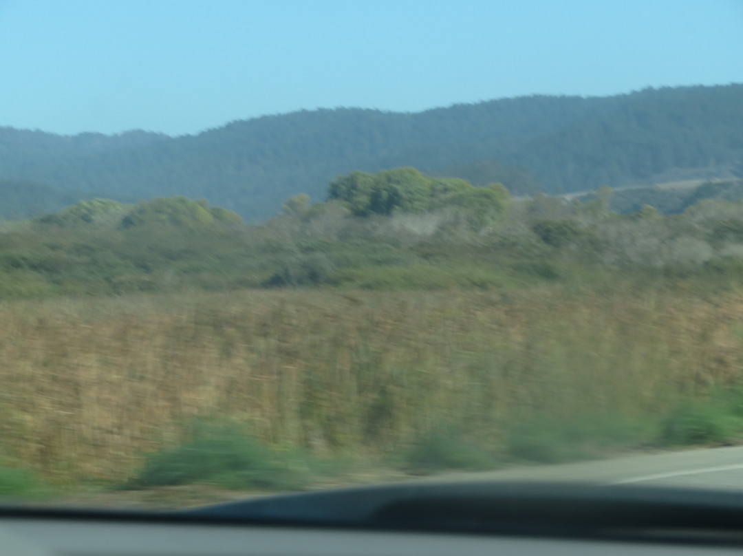 Pescadero Marsh Natural Preserve-佩斯卡德罗必去景点