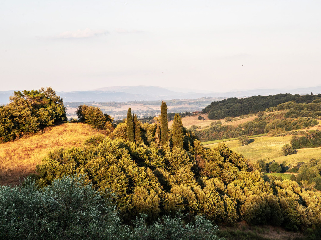 Poggio Paradiso Resort & Spa主图