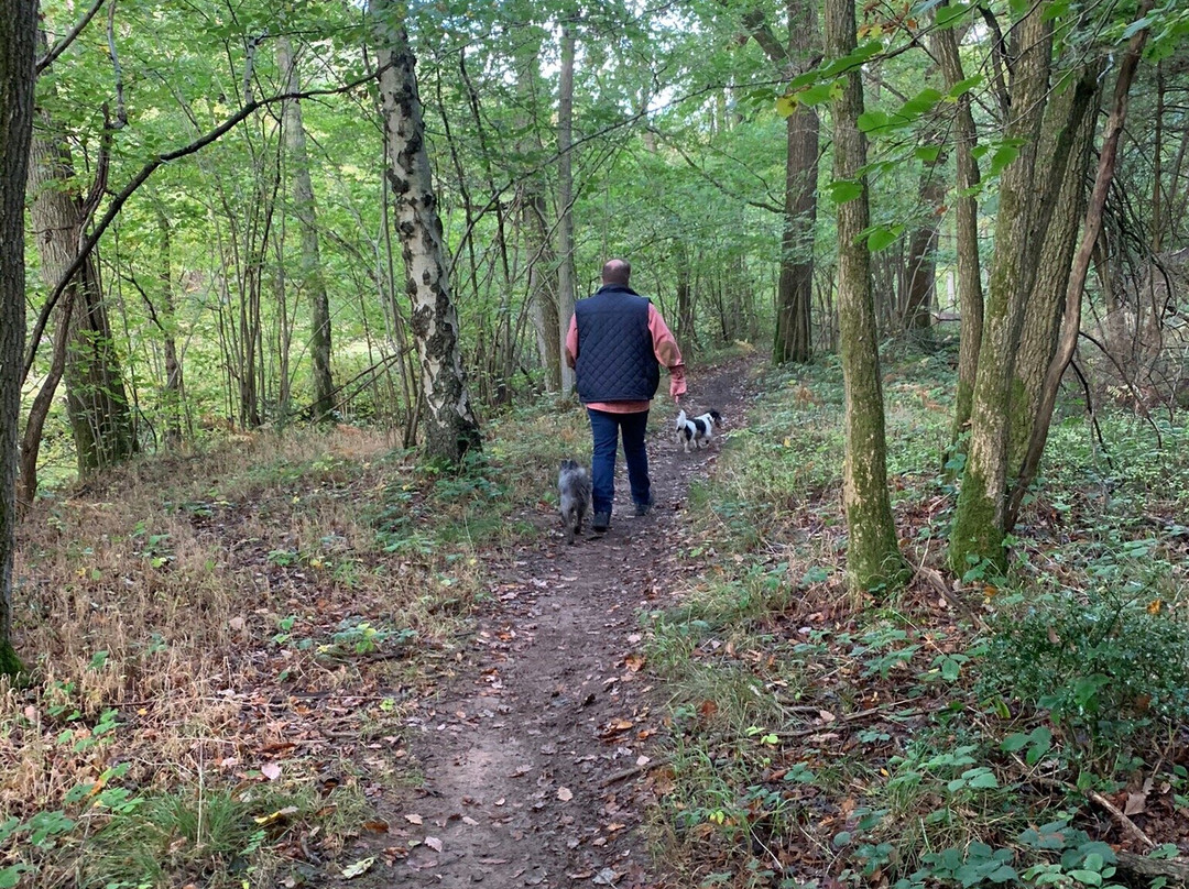 Oversley Wood-Alcester必去景点