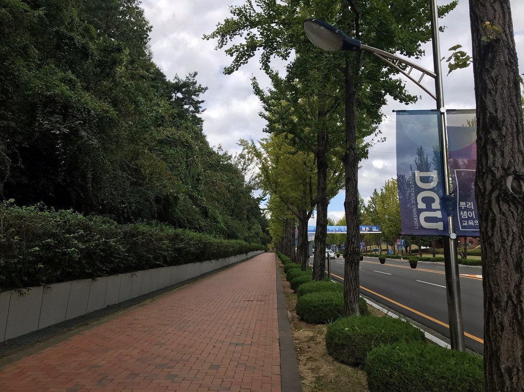 Daegu Catholic University Museum