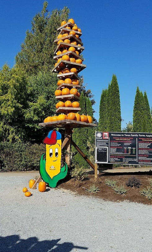 Applebarn at Taves Family Farms景点图片