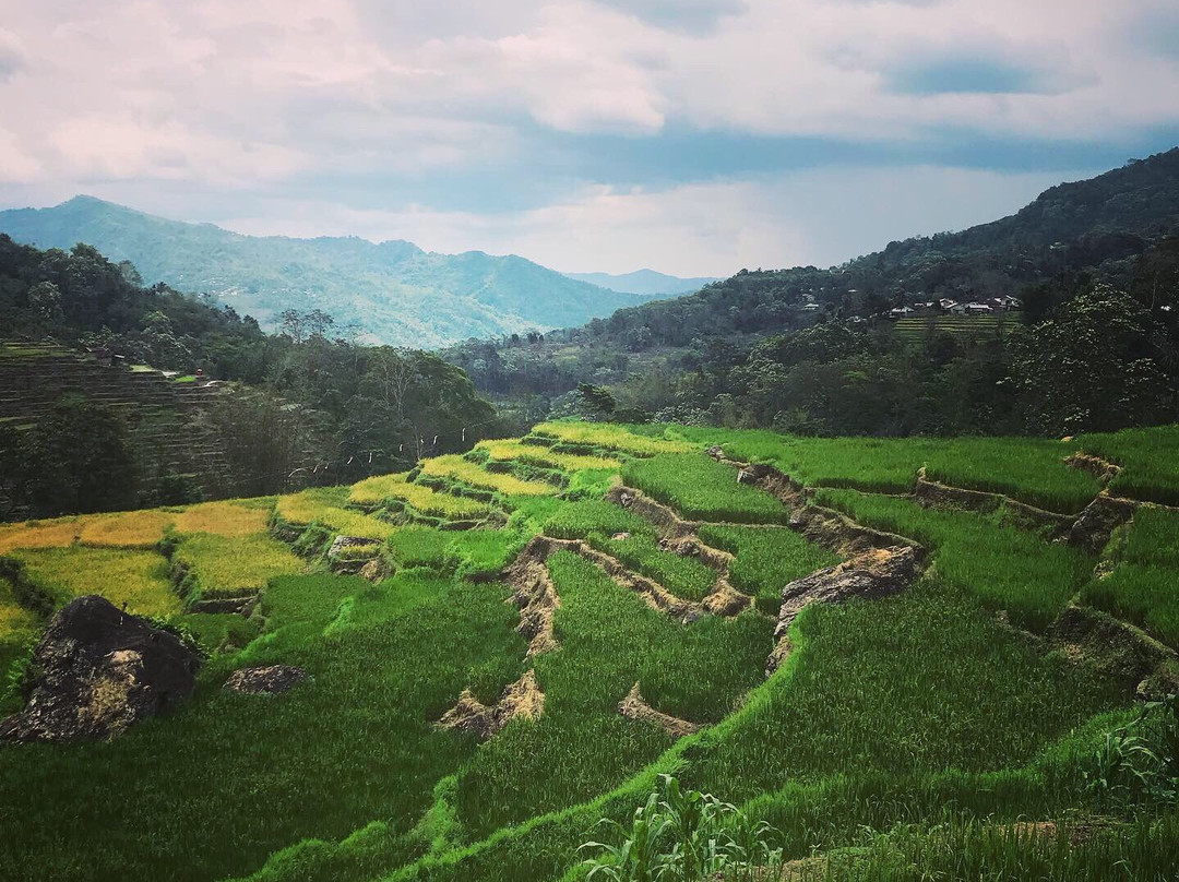 Flores Traveler景点图片