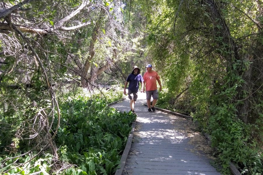 Trail Ahead-棕榈泉市必去景点