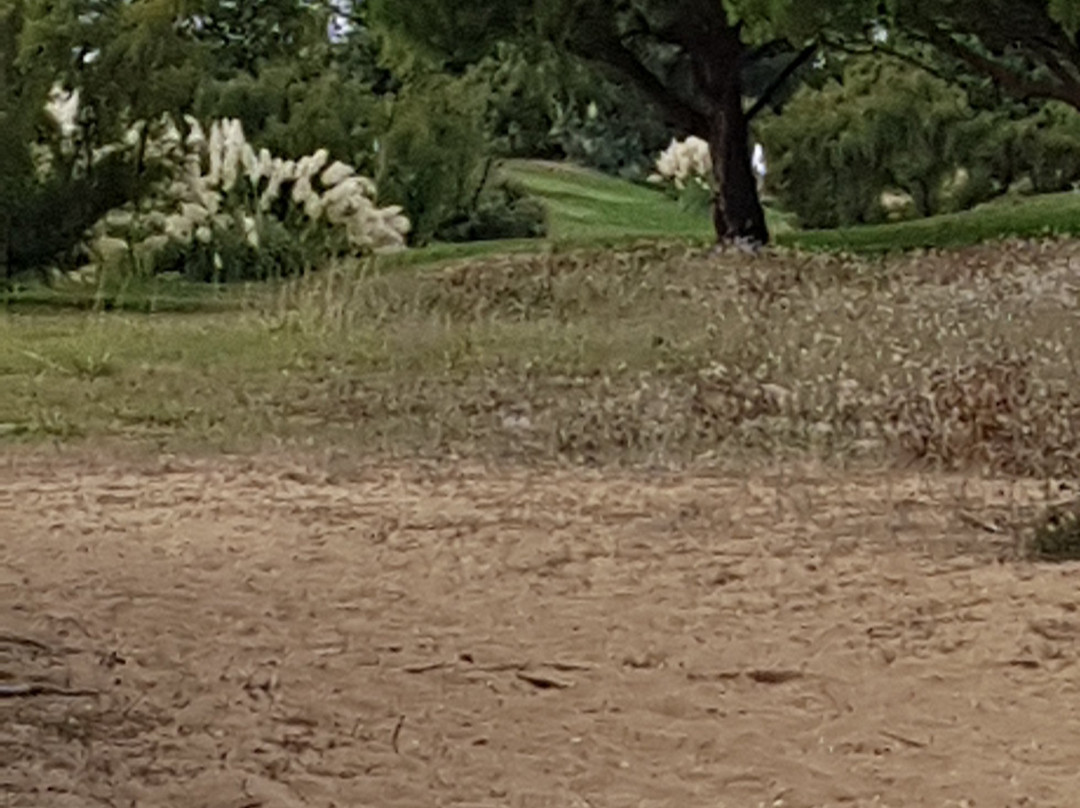 Golf d'Oleron景点图片