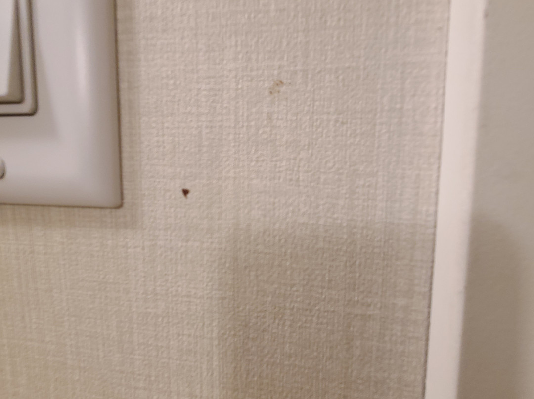 Comfort Inn & Suites主图