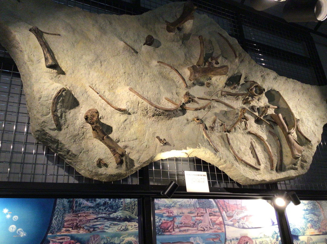 Sayama City Museum-狭山市必去景点