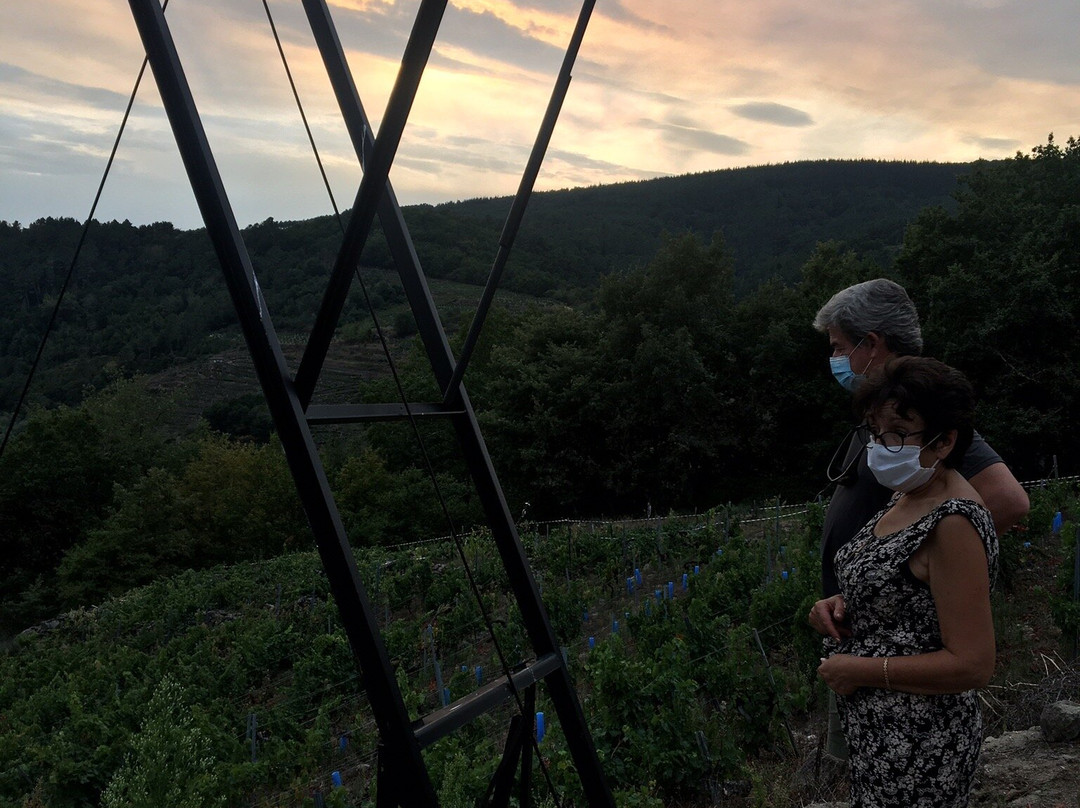 Adega Malcavada-Sober必去景点