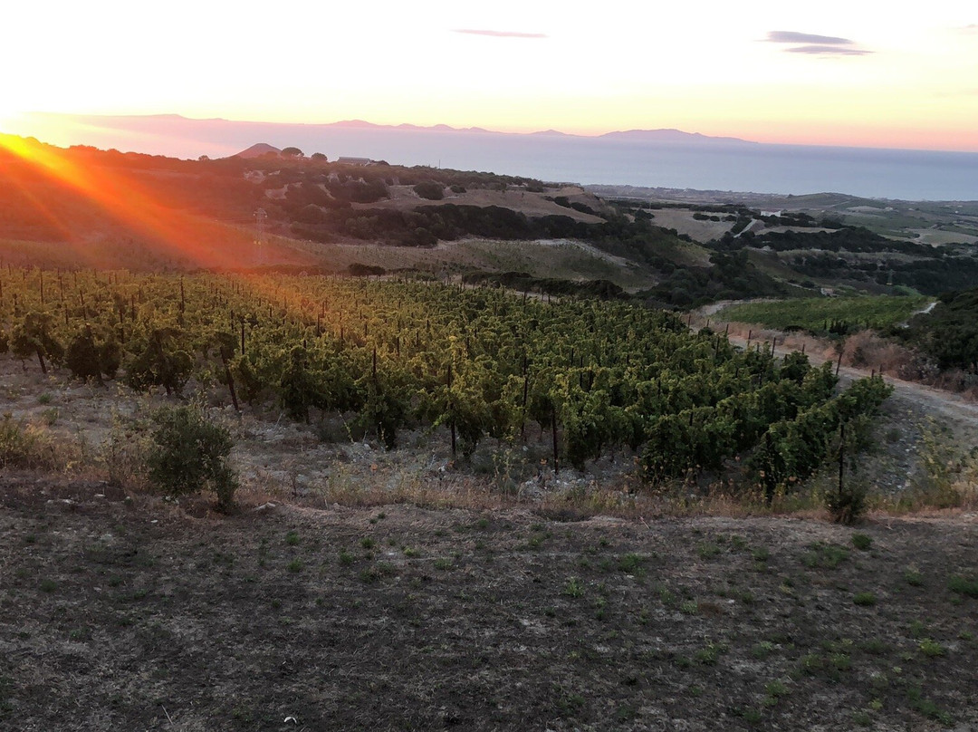 Tenute Dettori-Sennori必去景点