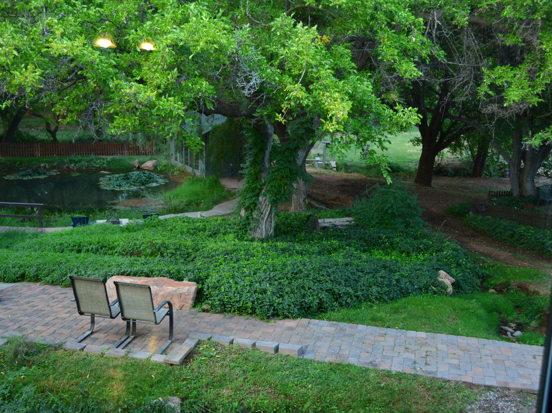 Sycamore Springs Guest House主图