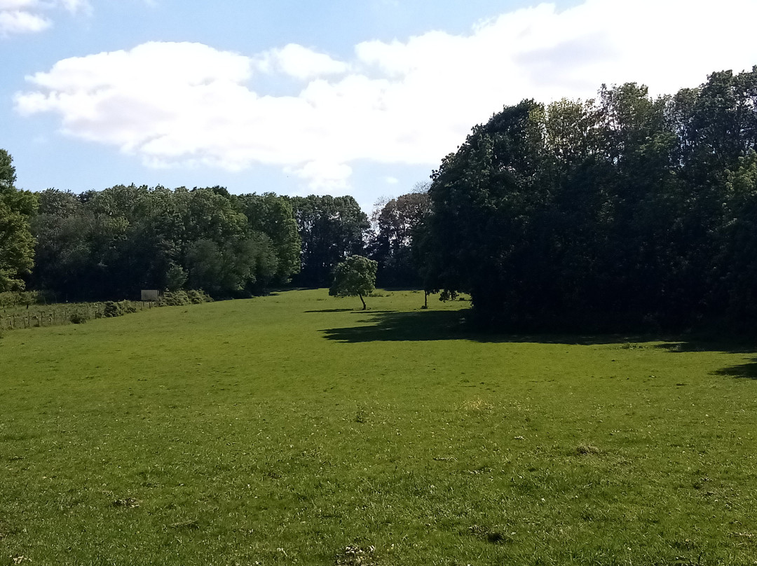 La Forêt Domaniale de Montmorency-Saint-Prix必去景点
