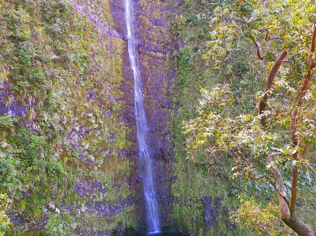 Cascade Biberon景点图片