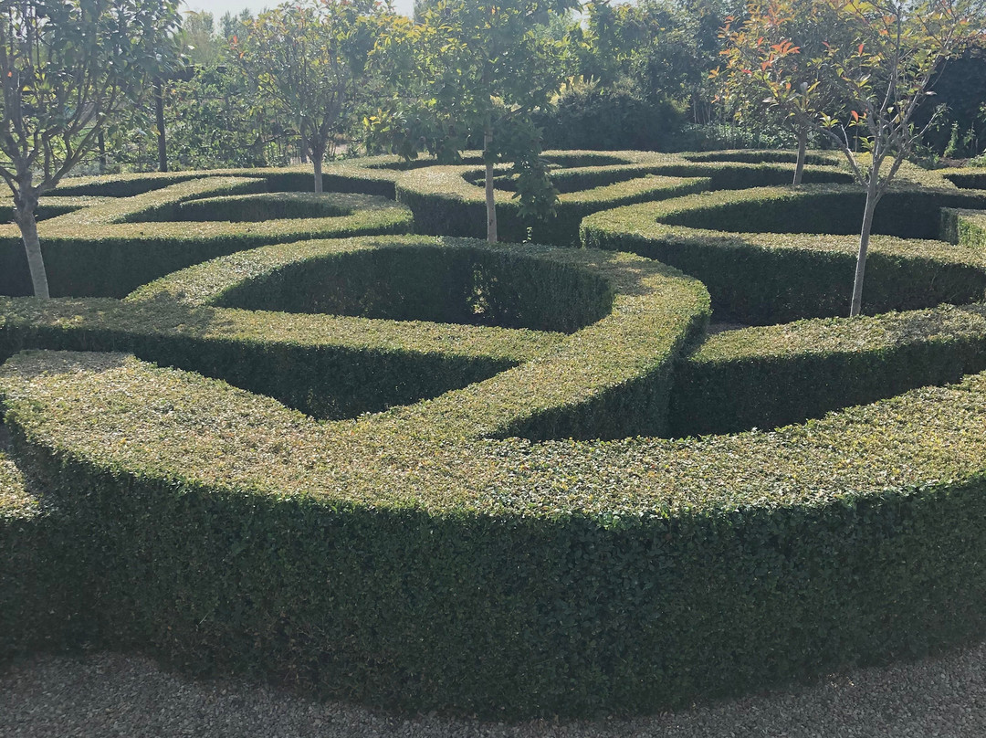 Bridewell Organic Gardens景点图片