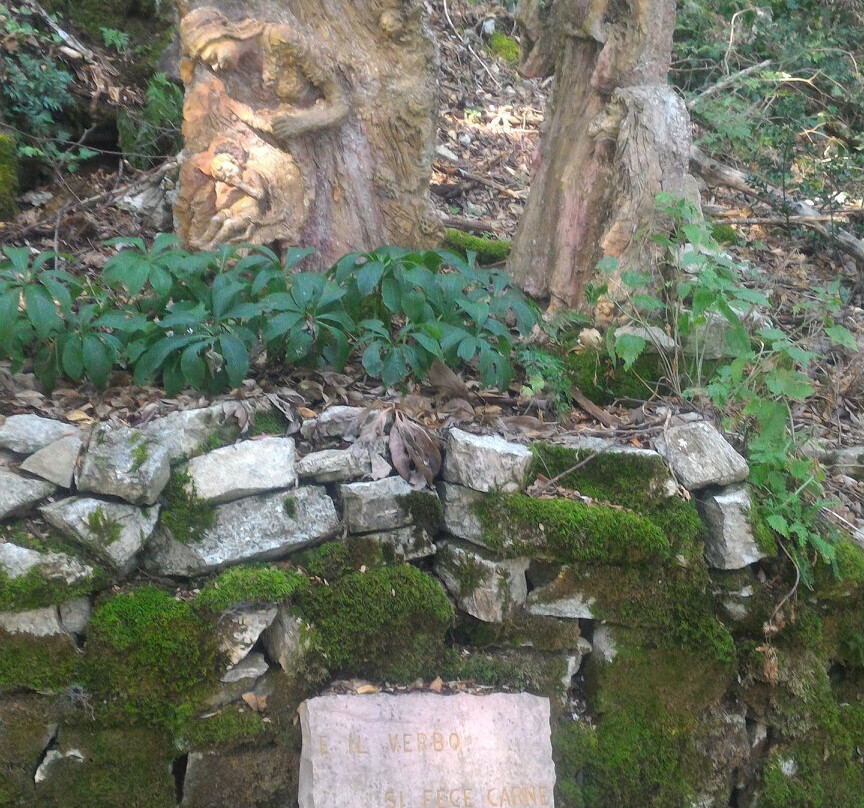 Sacro Speco di San Francesco景点图片