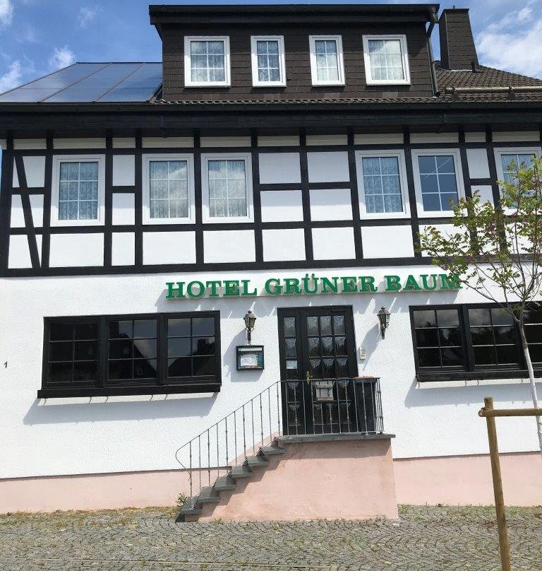 Hotel Gruener Baum主图