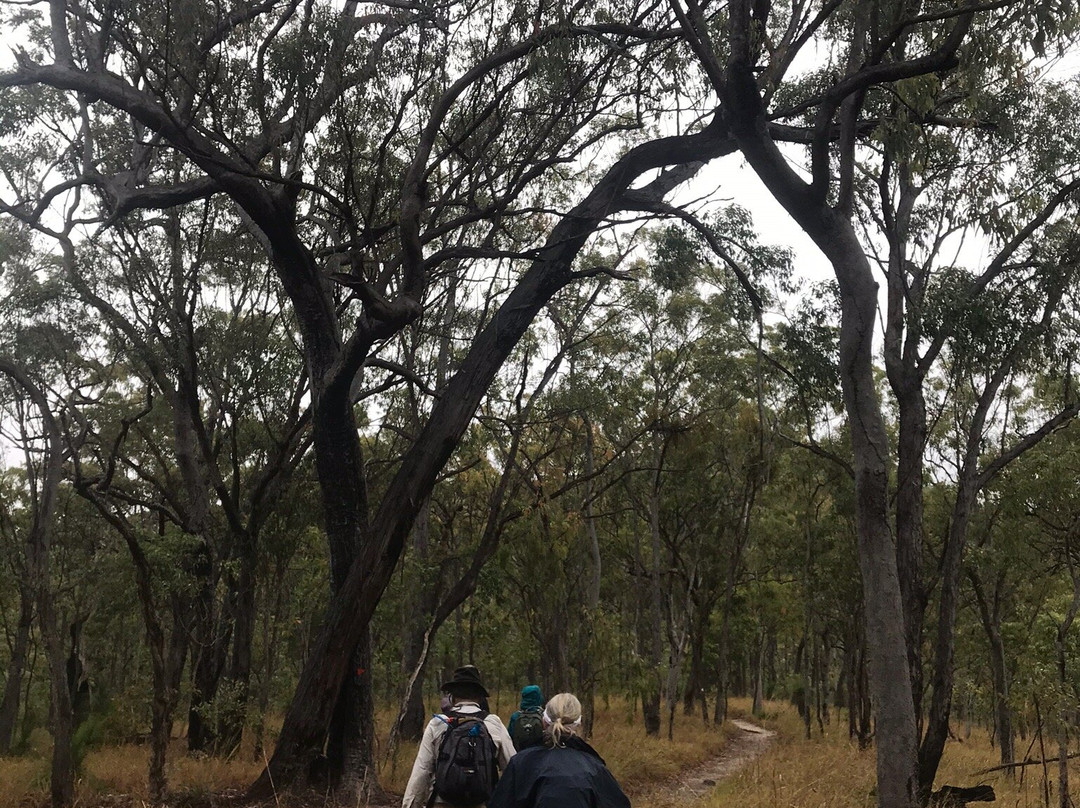 Davies Creek National Park-马里巴必去景点