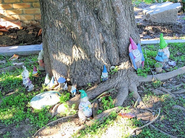 Magnolia Cemetery-奥古斯塔必去景点