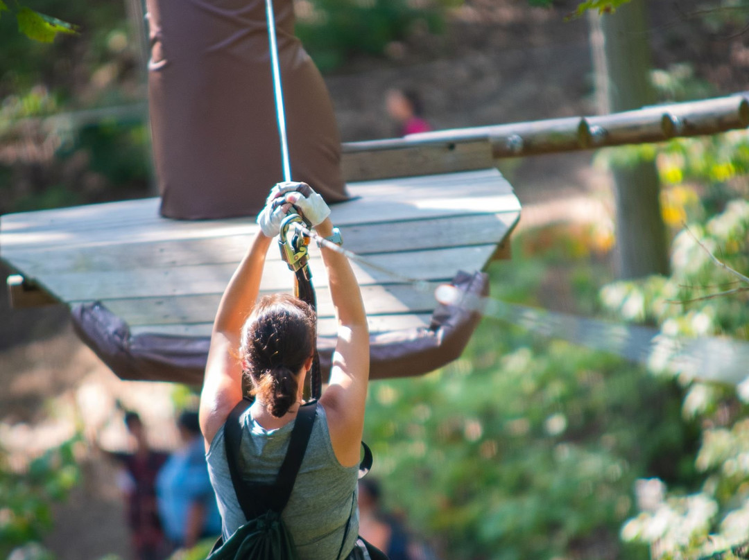 The Adventure Park at Long Island景点图片