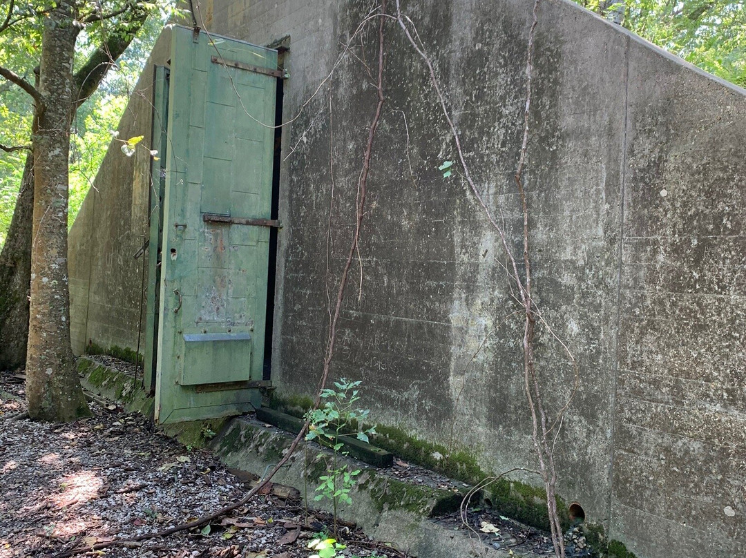 Woodlands Conservancy Trail Area景点图片