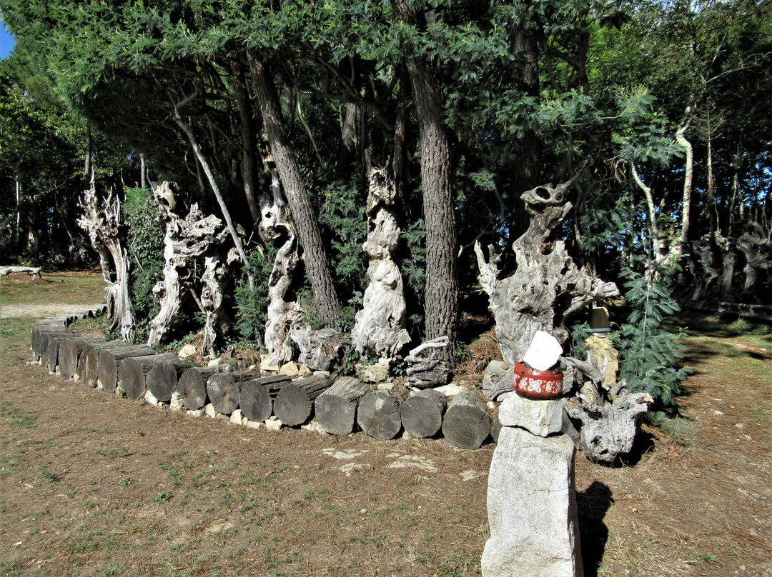 Souches du Parking du bar du Mont-Salut-Ploemel必去景点