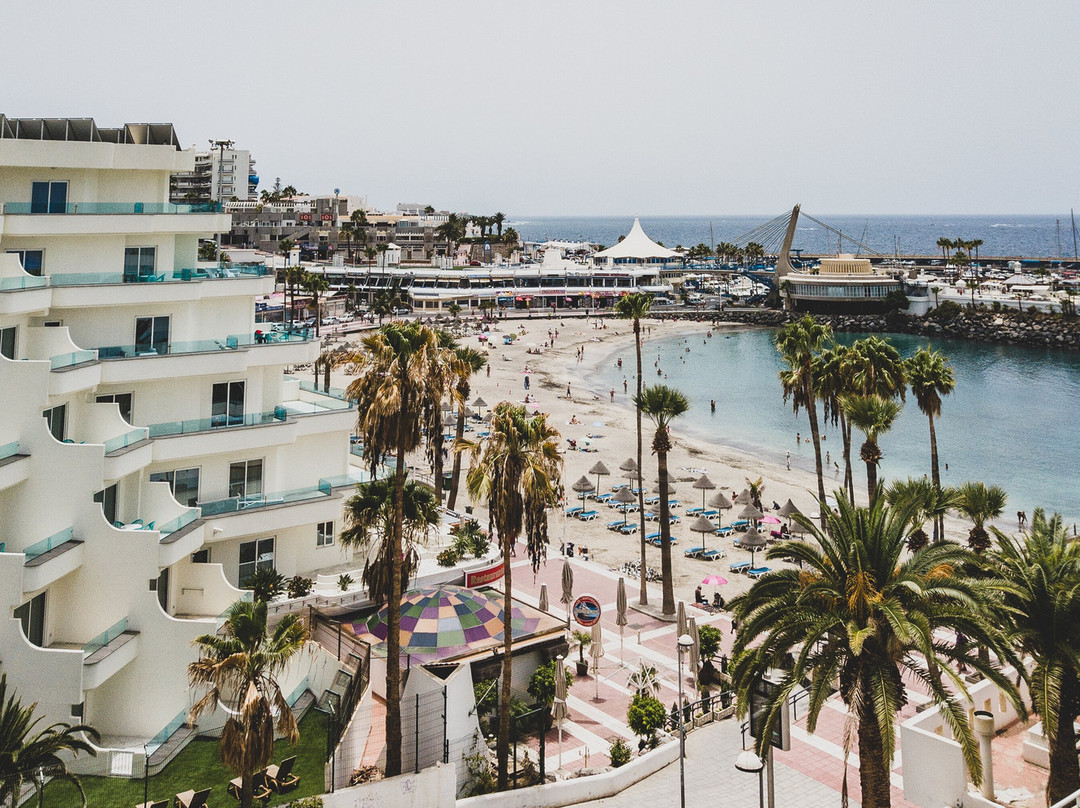 Top Buggy Adventure-圣克鲁斯-德特内里费必去景点