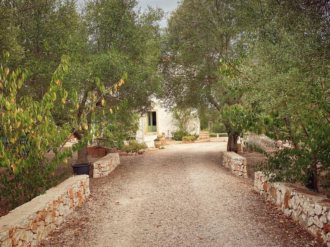 Giovannarolla Green House主图