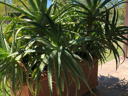 Agriturismo Podere 571主图