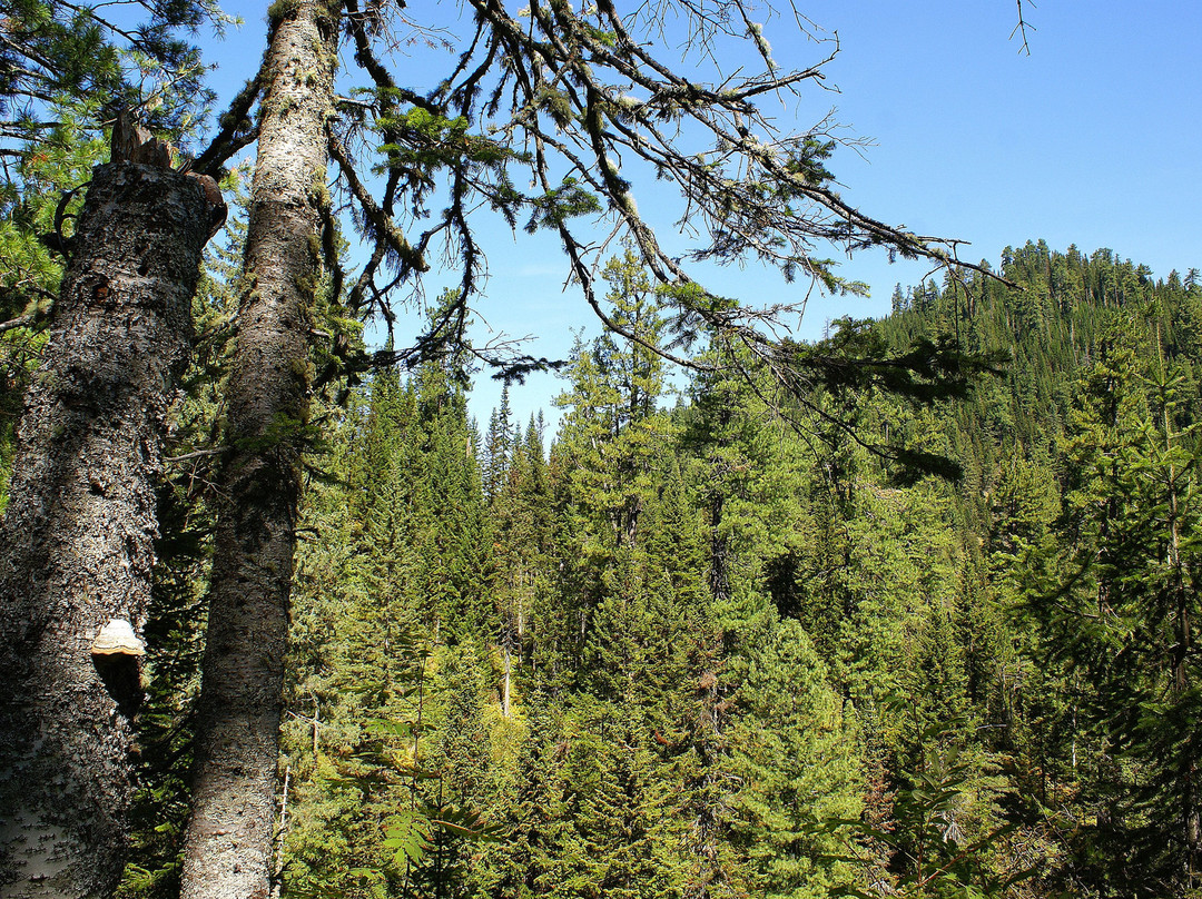 Baikal State Biosphere Reserve景点图片