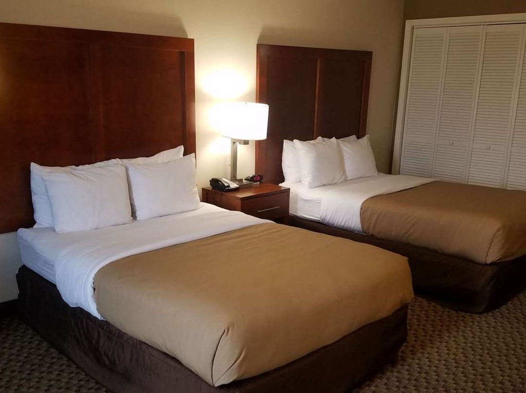Comfort Inn Roanoke Airport主图