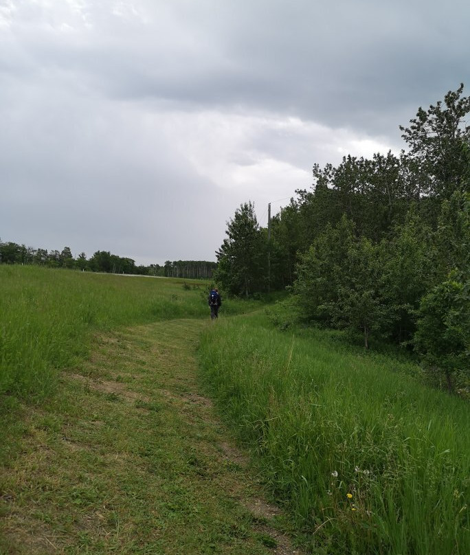 Turtle Mountain Provincial Park-波伊斯维因必去景点