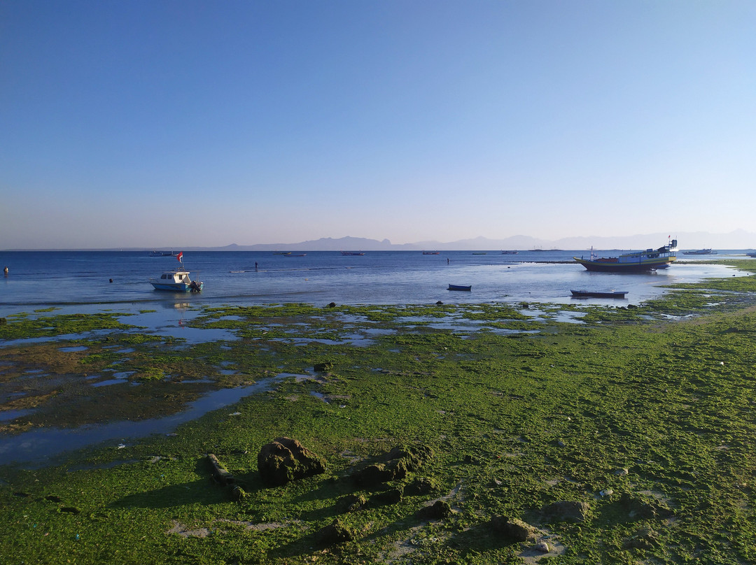 Pasir Panjang Beach景点图片