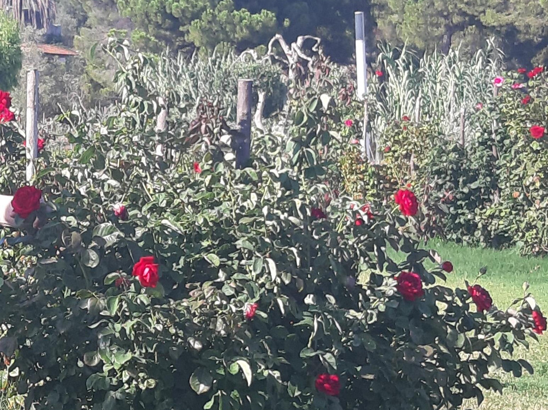 Village Baia Turchese主图